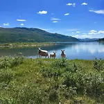 Koselig Fjellhytte Skarvannet Casa de Férias *
