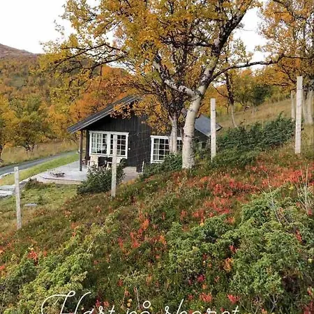 펜션 Koselig Fjellhytte Skarvannet 옵달