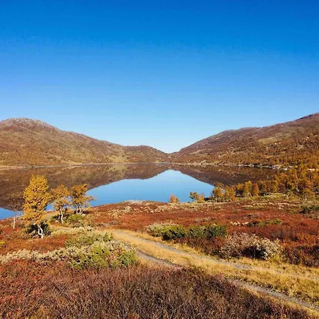 Koselig Fjellhytte Skarvannet *