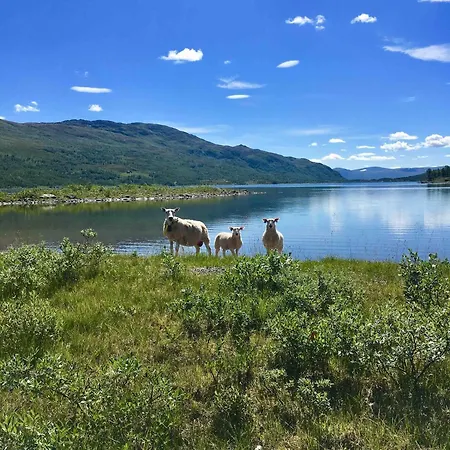 Koselig Fjellhytte Skarvannet 펜션 *