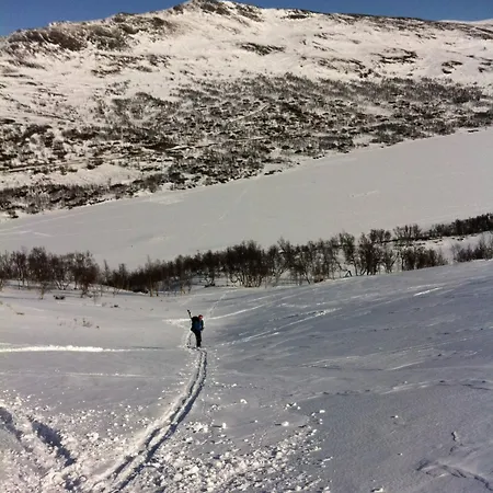 Koselig Fjellhytte Skarvannet