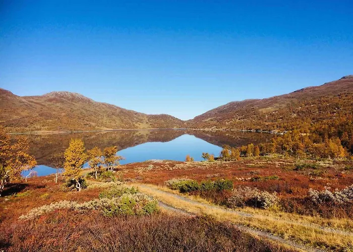 Koselig Fjellhytte Skarvannet *