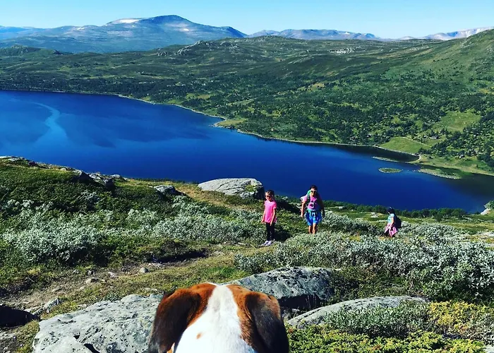 Koselig Fjellhytte Skarvannet Hébergement de vacances Oppdal