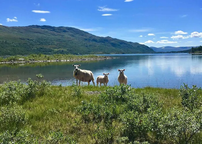 Koselig Fjellhytte Skarvannet Hébergement de vacances *