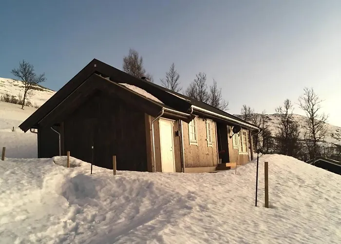Hébergement de vacances Koselig Fjellhytte Skarvannet *