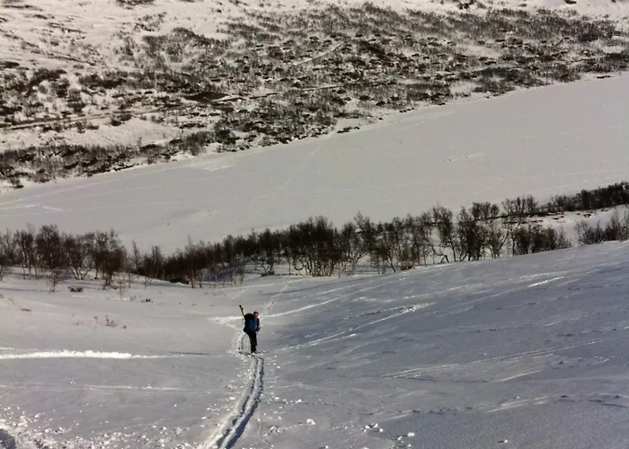 Koselig Fjellhytte Skarvannet